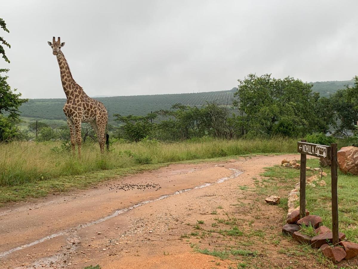 Ndhula Luxury Tented Lodge ไวท์ริเวอร์ ภายนอก รูปภาพ